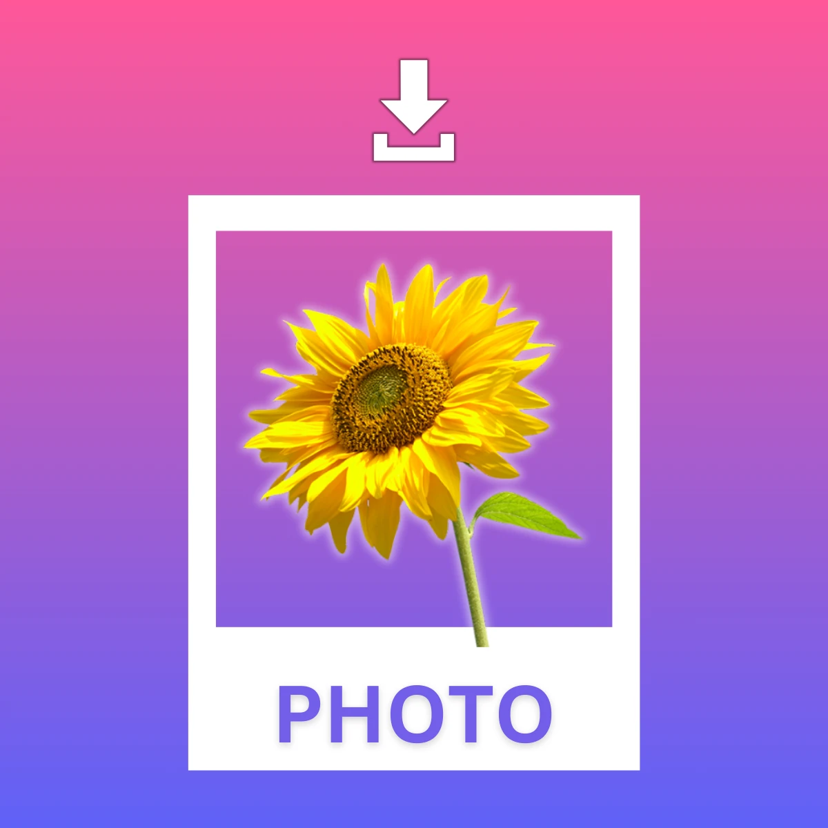 instagram photo download