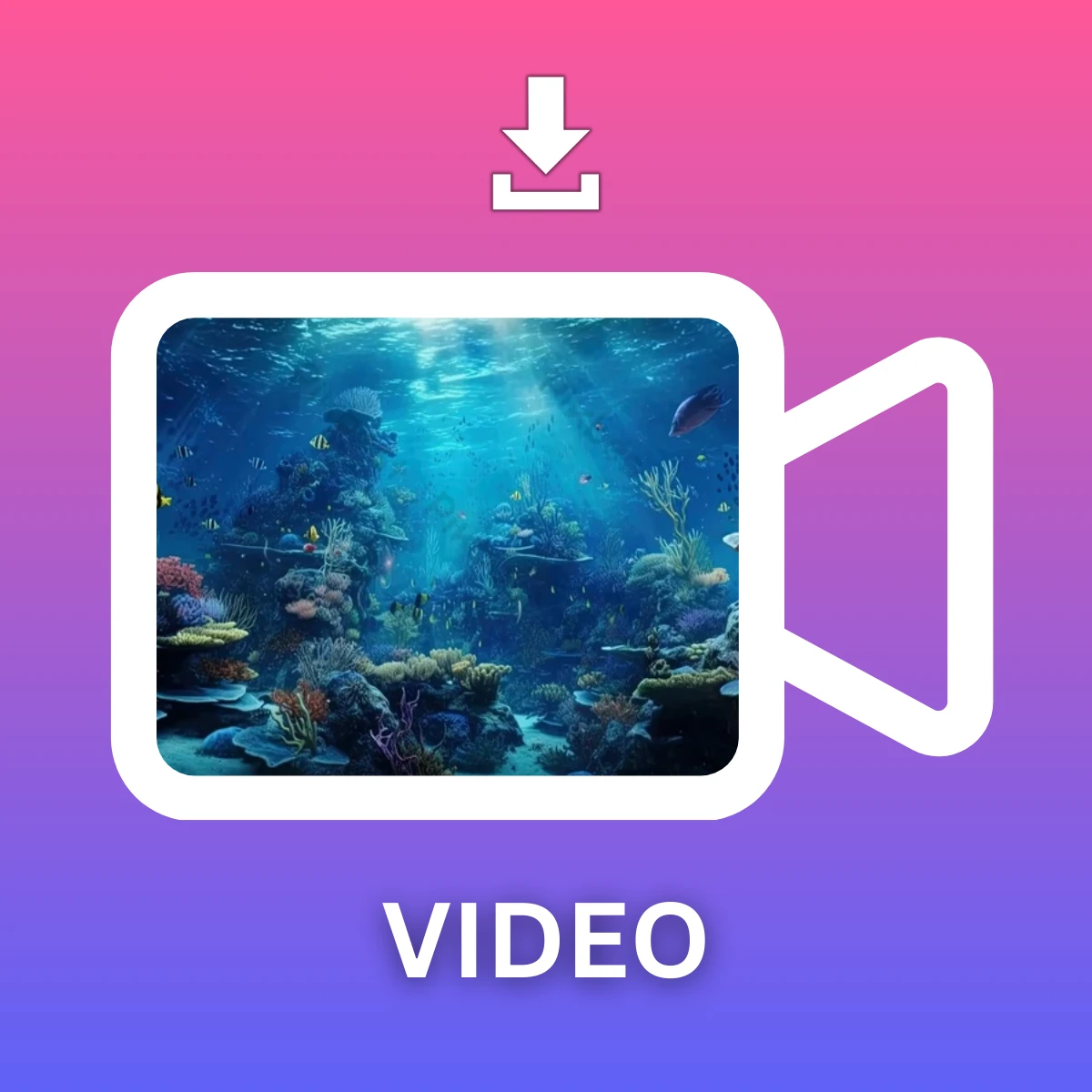 instagram video download